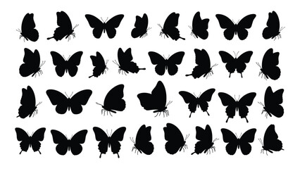 A collection of black butterfly silhouettes © MehediHasan