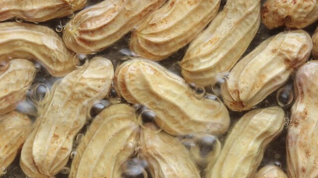 Close-up of boiling whole peanuts in shell in bubbling hot water. Top view shot