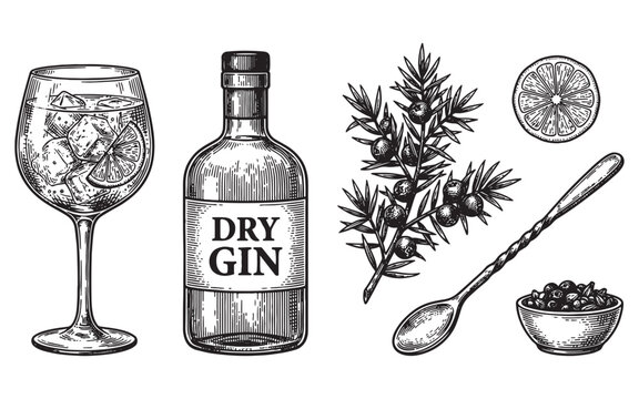 Dry gin bottle, cocktails, juniper berries, jigger and lemon engraving vector illustration