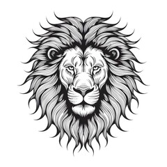 Obraz premium Lion head line art illustration with detailed mane drawing on white background for design