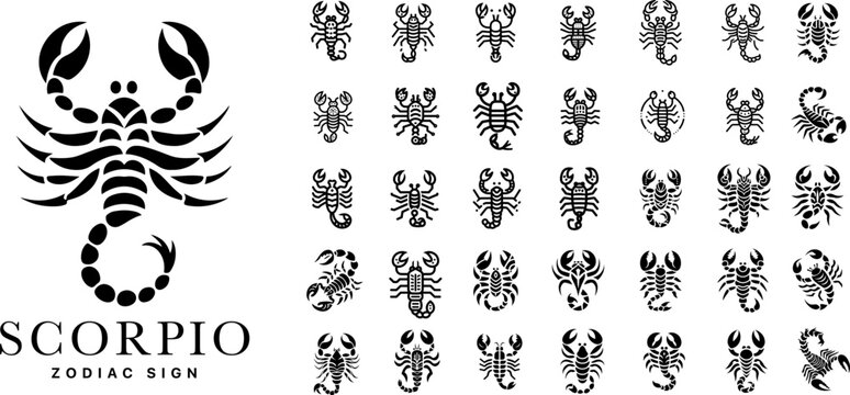 Scorpio zodiac sign line art icons set, minimalist scorpion astrology symbols with modern outline