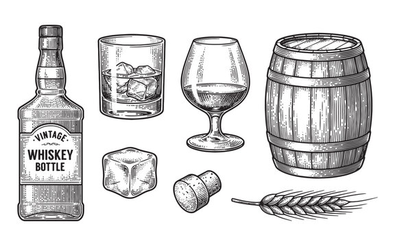 set of whiskey bottle, glasses, barrel, and ingredients engraving vector illustration