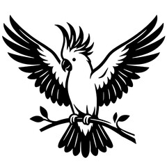 Fototapeta premium Silhouette of a cockatoo flapping its wings