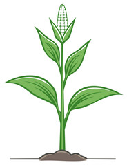Fototapeta premium Stylized Green Corn Plant Growing From Soil Silhouette Illustration