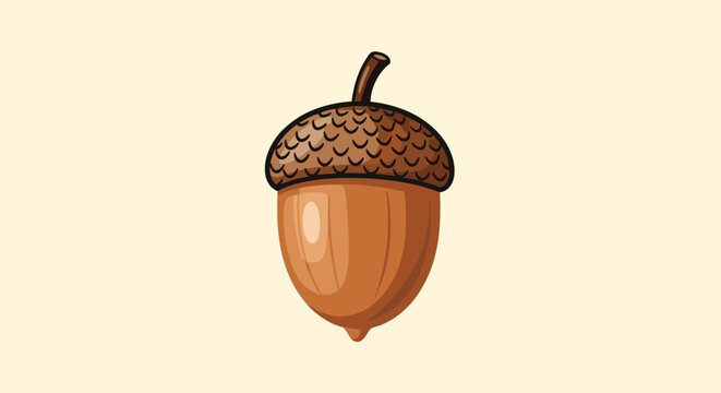 Single brown acorn with a textured cap and smooth nut shell represents the potential of a large oak tree during the autumn season.