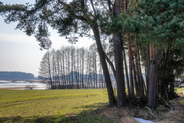 Przedwiośnie w Dolinie Górnej Narwi, Podlasie, Polska © podlaski49
