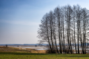 Przedwiośnie w Dolinie Górnej Narwi, Podlasie, Polska © podlaski49