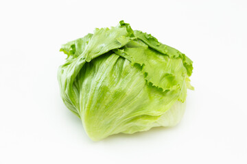 レタス　白バック