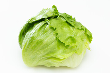 レタス　白バック