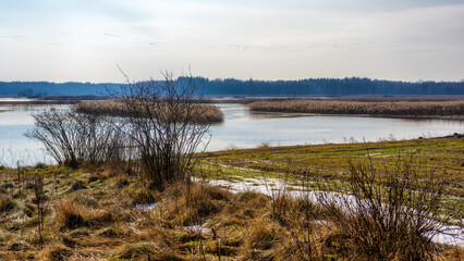 Przedwiośnie w Dolinie Górnej Narwi, Podlasie, Polska © podlaski49