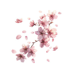 Fototapeta premium cherry blossom petals in the air hand drawn vector illustration