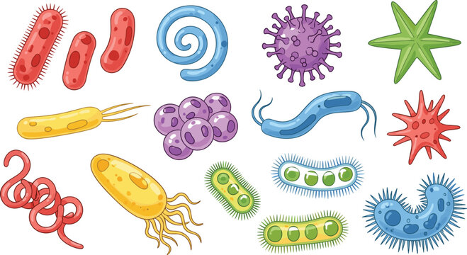 Set of Colorful Microorganism and Bacteria Icons Featuring Different Shapes and Types of Germs