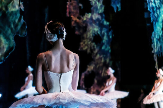 Woman ballerina from behind in white tutu on stage.