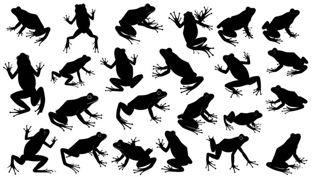 Frog silhouette collection, amphibian animal shapes, jumping frog poses, wildlife illustration, cad drawing flat vector illustration, black isolated design