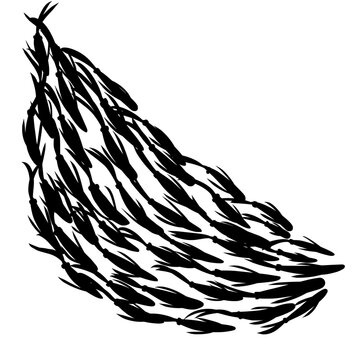 flock of fish vector illustration