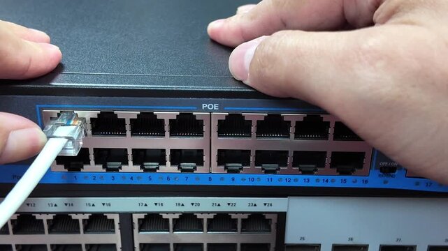 LAN cable clamp for inserting into the switch slot. Network communication technology