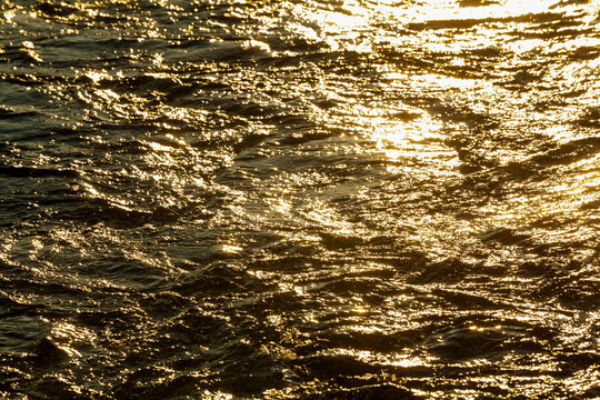 Churned up water, a boat wake and waves on the water surface, reflections of sunlight on the water.