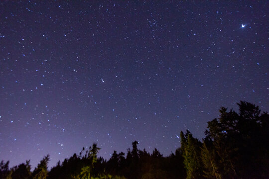 Star filled sky above Port Angeles at night above the pine trees.