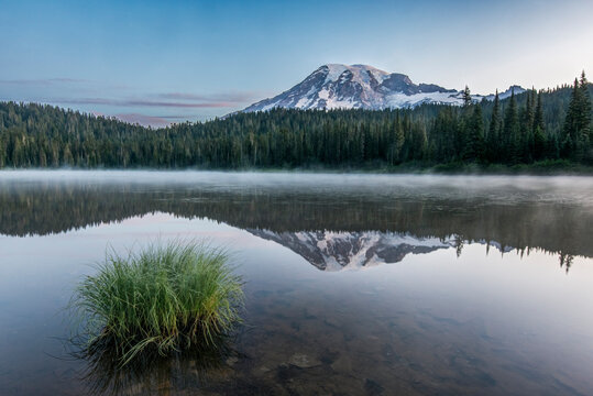 Mount Rainier National Park, the summit of Mount Rainier reflected in Reflection Lake at dawn.