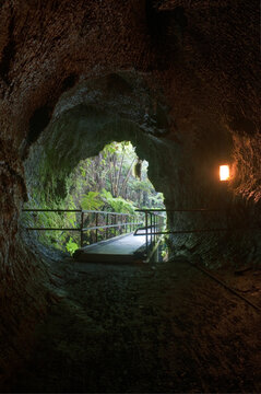 Volcanoes National Park,  the Nāhuku Thurston Lava Tube, a long tubular cave formed when lava cooled. the entrance into the open air.