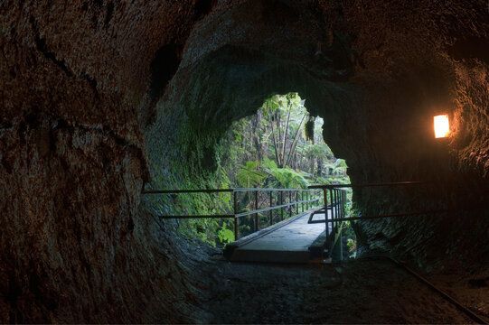Volcanoes National Park,  the Nāhuku Thurston Lava Tube, a long tubular cave formed when lava cooled. the entrance into the open air.