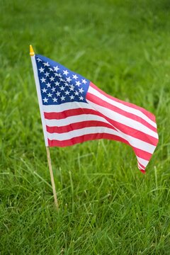 Small American flag on a wooden stick standing in vibrant green grass - a patriotic symbol often used for national holidays such as Independence Day, Memorial Day, or Veterans Day.