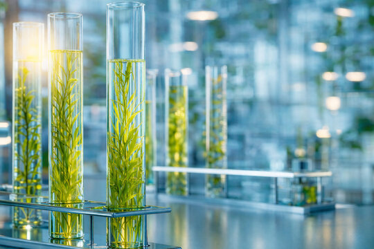 Green botanical samples in glass test tubes inside modern lab, clean blue bokeh and copy space&mdash;biotech, plant science, agritech, natural cosmetics research concept for branding, ads, web headers.