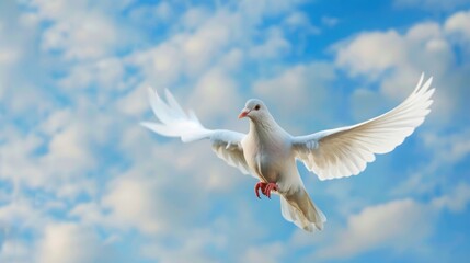 Fototapeta premium Majestic White Bird Fluttering Against a Beautiful Blue Sky with Fluffy Clouds and Soft Light Creating a Serene Atmosphere