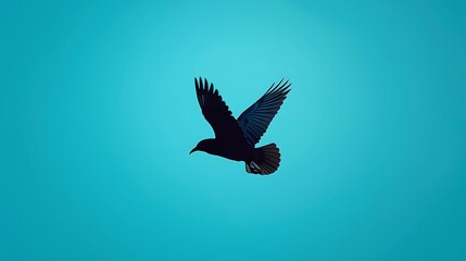 Obraz premium Bird Silhouette Flying In Blue Sky