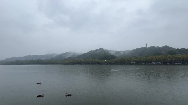 4K West Lake Hangzhou in Rain with Ducks and Ancient Pagoda
