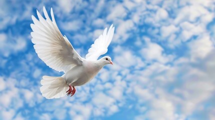 Majestic White Dove in Flight Against a Beautiful Blue Sky with Clouds