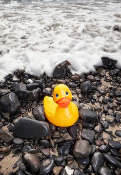 Bright yellow rubber duck sits on wet rocks at the edge of the shore in Florence, Oregon, as ocean waves roll in.