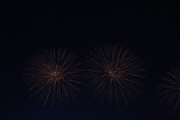 Obraz premium 불꽃 놀이(Golden Fireworks Explosion in Night Sky Celebration Background)