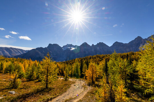 Larch valley trail near Moraine Lake.