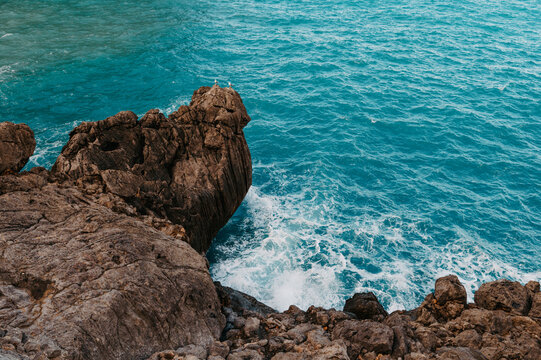Seagulls on rock above turquoise sea, Sa Calobra Mallorca