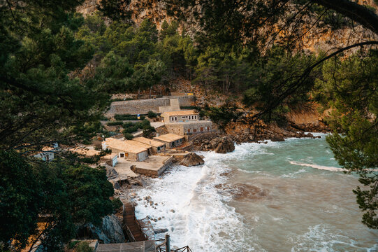 Port de Sa Calobra bay framed by pine trees, Mallorca