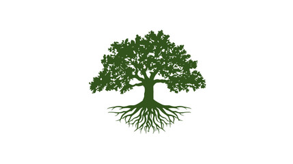 Obraz premium Detailed green silhouette of an old, strong oak tree with deep, visible roots. Symbol of nature, life, growth, and stability, isolated on white.