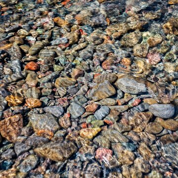 Colorful stones visible through clear shallow water along the shoreline of Lake Crescent in Olympic National Park, Washington.