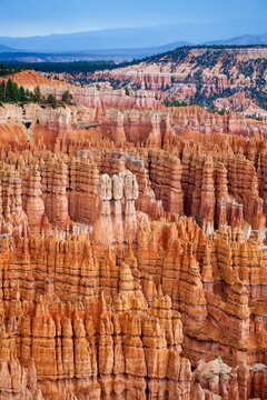 A vibrant maze of hoodoos fills the Bryce Canyon landscape, with rich red and orange hues stretching across a dramatic desert plateau in southern Utah.