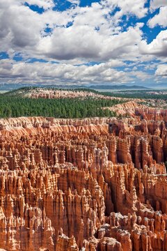 Striking hoodoos rise in vivid red and orange below a lush pine forest in Bryce Canyon National Park, Utah, framed by dramatic clouds and a deep blue summer sky.