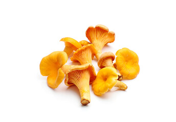 Fototapeta premium Chanterelle mushrooms isolated on white background