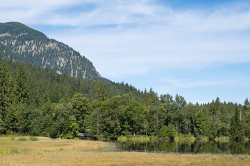 Fototapeta premium Landschaft am Suttensee, Feuchtgebiet, Mangfallgebirge, Rottach-Egern, Oberbayern, Bayern, Deutschland