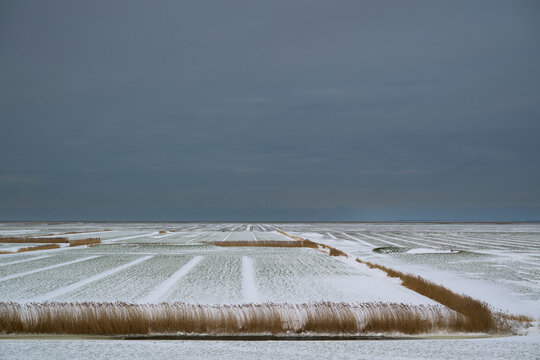 Snow covered land reclamation fields at Wadden Sea in the Netherlands