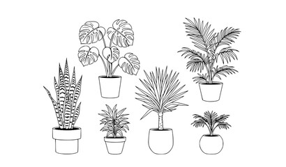 Minimalist indoor plant line drawing collection with monstera snake plant yucca and palms vector botanical illustration © Himu 