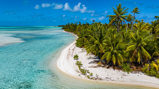 Aerial view of blue lagoon and tropical coastline in Fakarava French Polynesia