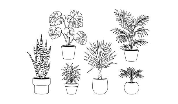 Black and white indoor plant icon set with monstera snake plant palm and yucca modern line vector illustration