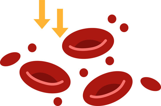 anemia icon medical, intestine