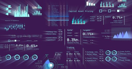 Obraz premium Displaying financial dashboard showing bar charts, candles, radial rings and tables on monitor