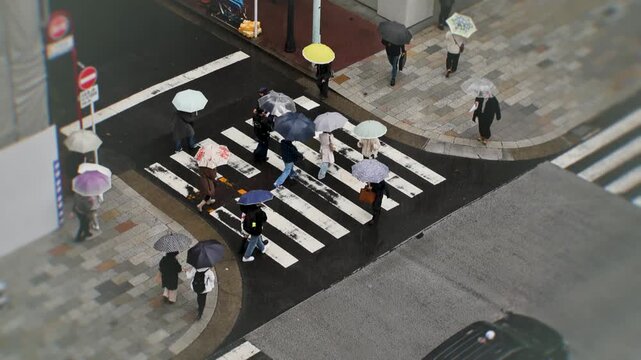 Aerial tiltshift view of rainy crosswalk with umbrellas