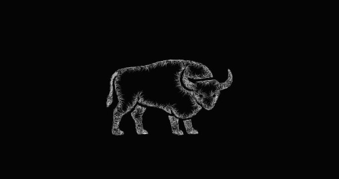 Sketch buffalo icon animation - smooth progressive reveal